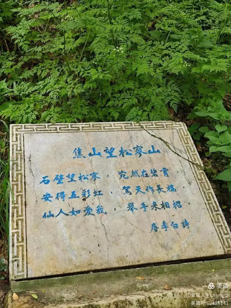 焦山行思录(二)